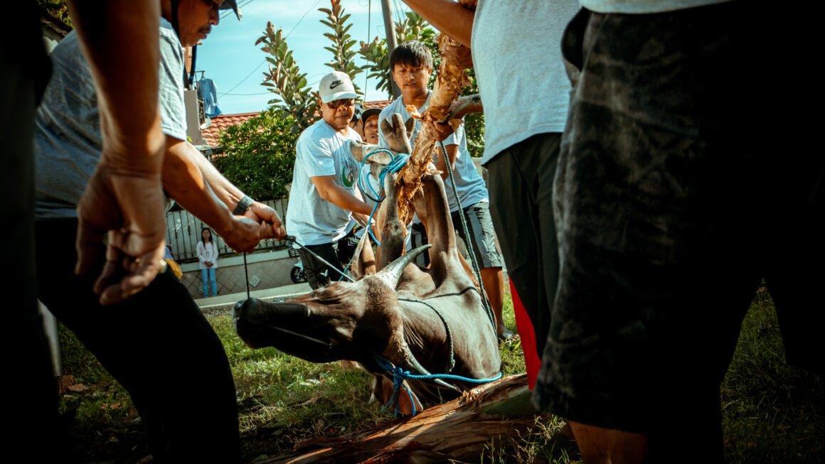 Regenerasi Kebersamaan Warga RT 33 dalam Kegiatan Qurban Idul Adha